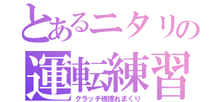 とあるニタリの運転練習（クラッチ板擦れまくり）