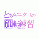 とあるニタリの運転練習（クラッチ板擦れまくり）