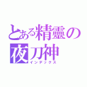 とある精靈の夜刀神 十香（インデックス）