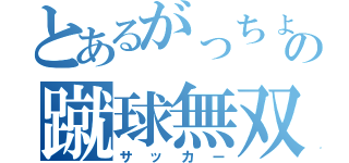 とあるがっちょの蹴球無双（サッカー）