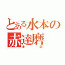 とある水本の赤達磨（赤点）