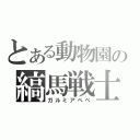 とある動物園の縞馬戦士（ガルミアペペ）