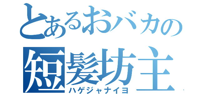 とあるおバカの短髪坊主（ハゲジャナイヨ）