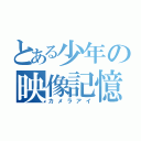 とある少年の映像記憶眼（カメラアイ）