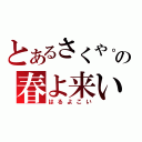 とあるさくや。の春よ来い（はるよこい）