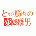 とある筋肉の変態盛男（メイトリクス）