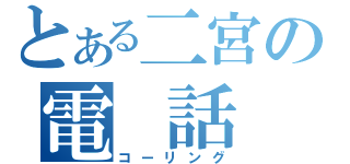 とある二宮の電　話　帳（コーリング）