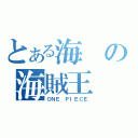 とある海の海賊王（ＯＮＥ ＰＩＥＣＥ）