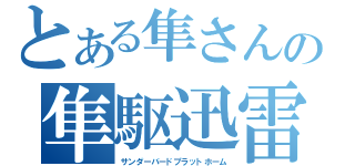 とある隼さんの隼駆迅雷（サンダーバードプラットホーム）