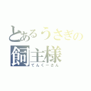 とあるうさぎの飼主様（てんくーさん）