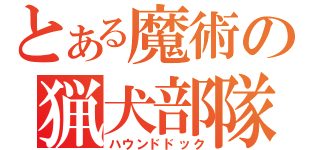 とある魔術の猟犬部隊（ハウンドドック）