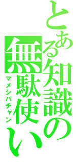 とある知識の無駄使い（マメシバチャン）