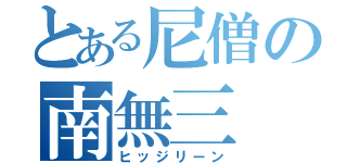 とある尼僧の南無三（ヒッジリーン）