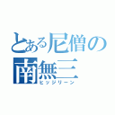 とある尼僧の南無三（ヒッジリーン）