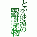 とある砂漠の緑針植物（サボテン）