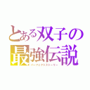 とある双子の最強伝説（パーフェクトストーリー）