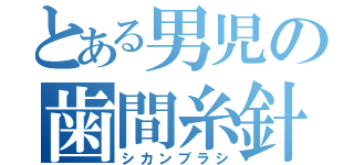 とある男児の歯間糸針（シカンブラシ）