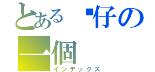 とある傻仔の一個（インデックス）