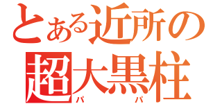 とある近所の超大黒柱（パパ）