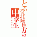 とある北陸地方の中学生（マルゴット）