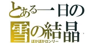 とある一日の雪の結晶（ぽかぽかロンリー）