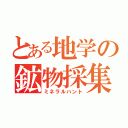 とある地学の鉱物採集（ミネラルハント）