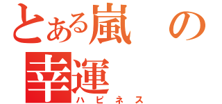 とある嵐の幸運（ハピネス）