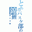 とあるバスケ部の錦鯉（魚の王様）