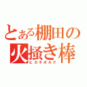 とある棚田の火掻き棒（ヒカキボルグ）