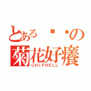 とある键盘の菊花好癢（ＣＨＩＰＨＥＬＬ）