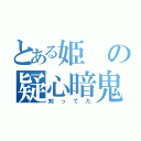 とある姫の疑心暗鬼（知ってた）