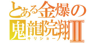 とある金爆の鬼龍院翔Ⅱ（キリショー）