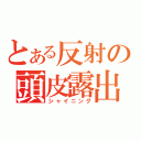 とある反射の頭皮露出（シャイニング）