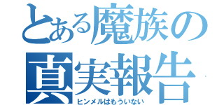 とある魔族の真実報告（ヒンメルはもういない）