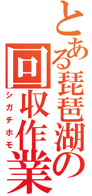 とある琵琶湖の回収作業（シガチホモ）