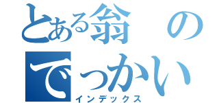 とある翁のでっかい目（インデックス）