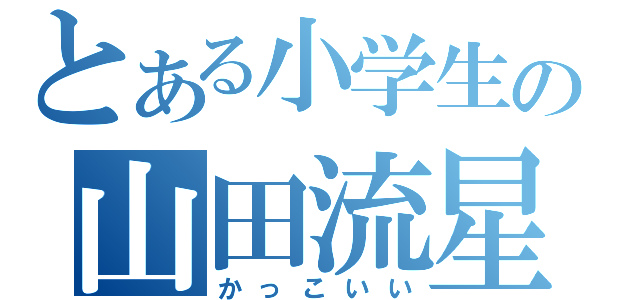 とある小学生の山田流星（かっこいい）