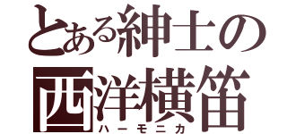 とある紳士の西洋横笛（ハーモニカ）