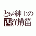 とある紳士の西洋横笛（ハーモニカ）