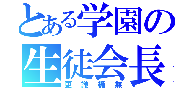 とある学園の生徒会長（更識楯無）