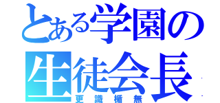 とある学園の生徒会長（更識楯無）