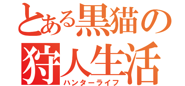 とある黒猫の狩人生活（ハンターライフ）