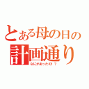 とある母の日の計画通り（なにがあったの！？）