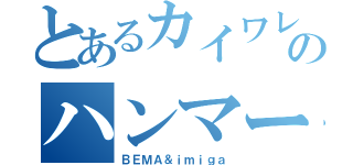 とあるカイワレのハンマー（ＢＥＭＡ＆ｉｍｉｇａ）