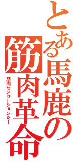 とある馬鹿の筋肉革命（筋肉センセーションだ！）