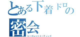 とある下着ドロのの密会（シークレットミーティング）