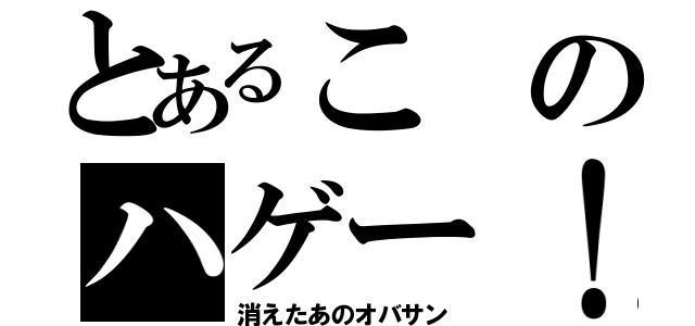 とあるこのハゲー！（消えたあのオバサン）