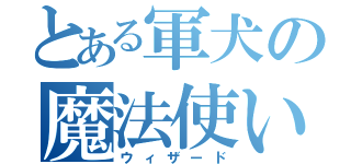 とある軍犬の魔法使い（ウィザード）