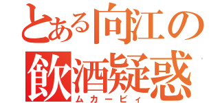 とある向江の飲酒疑惑（ムカービィ）