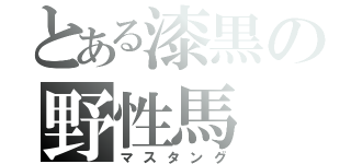 とある漆黒の野性馬（マスタング）